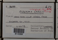 Image Associated With the Occurence